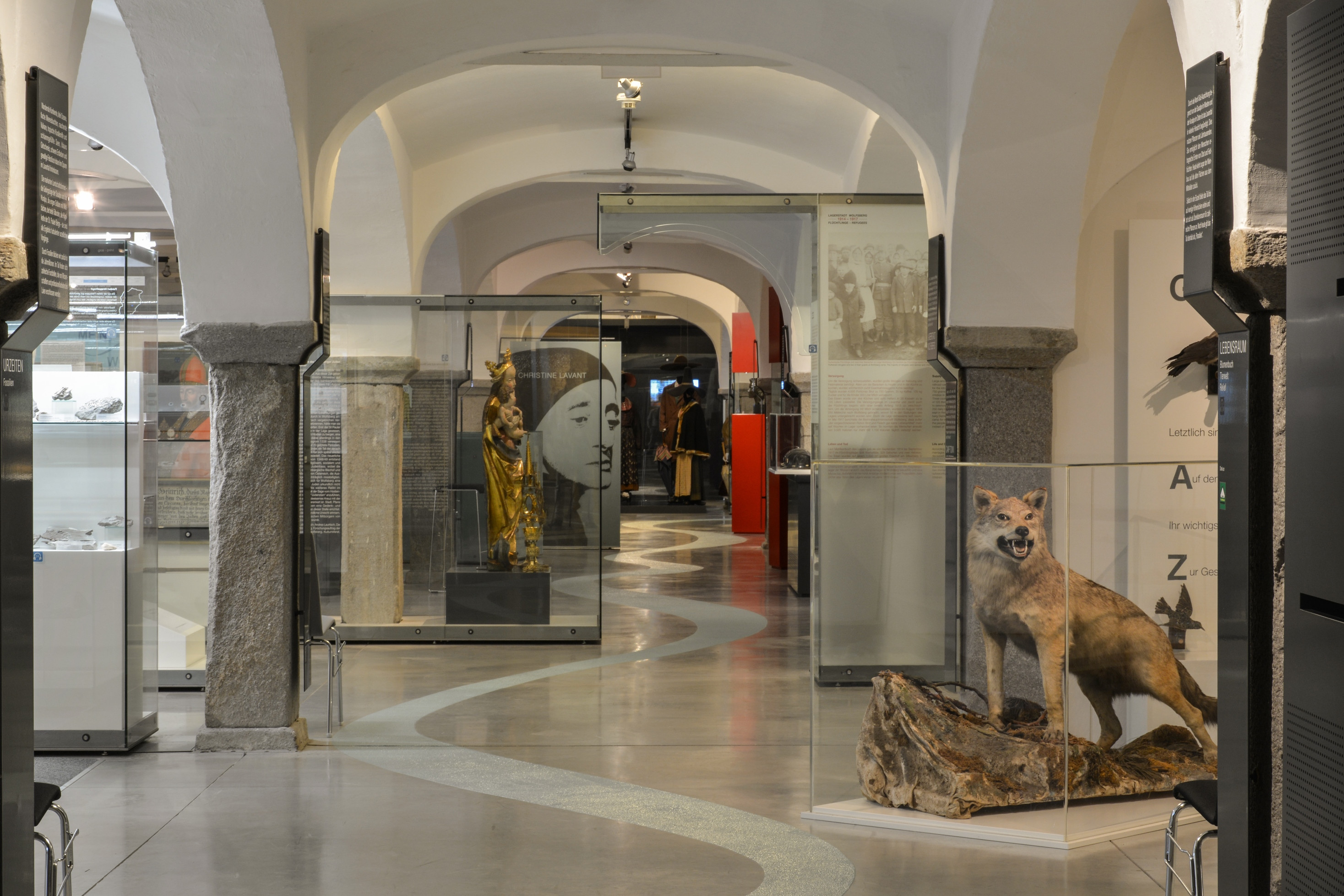 Blick in den Museumsraum mit dem Lavanttaler Wolf